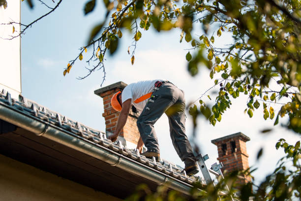 Best Roof Gutter Cleaning  in Mill Plain, CT